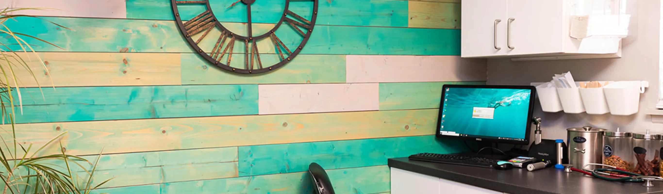 The Valley Veterinary Hospital office with various teal colored wood panels 